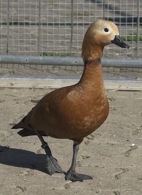 同前进