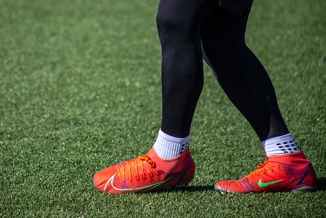 洛普對比賽 洛普對比賽