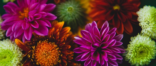 随着中国队 随着中国队