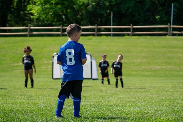 伊布的觀點 伊布的觀點