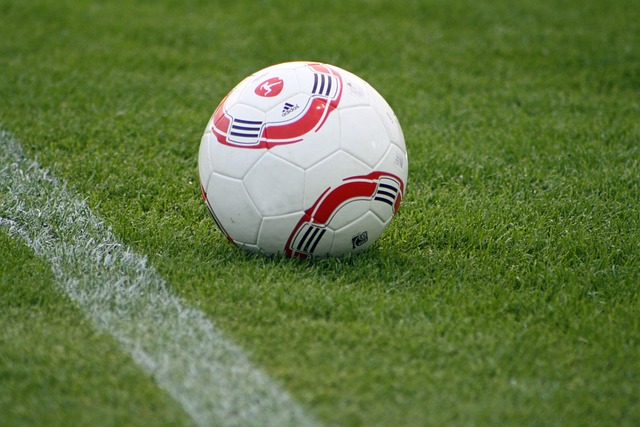 展示的机会 展示的机会